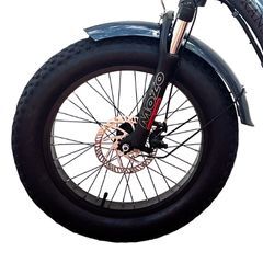 electric bike - fat tire 